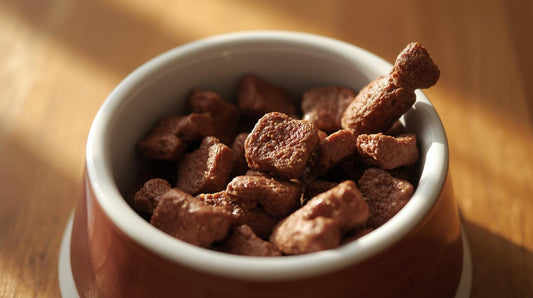 Appetite Stimulant For Dogs: How To Boost Naturally?