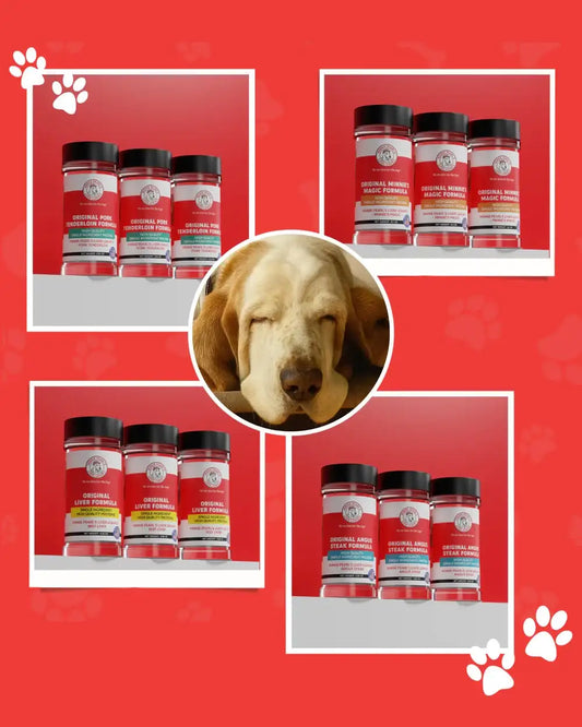 The Benefits of Dehydrated Dog Food: A Complete Guide