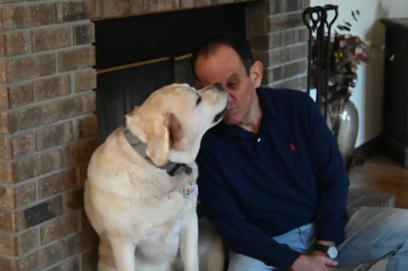 How to Use High-Value Toppers for Faster Dog Training Success