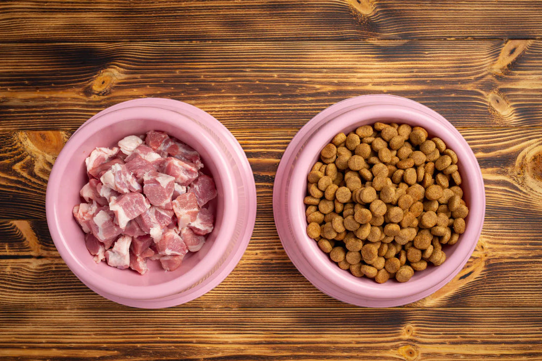 Freeze Dried vs. Dehydrated Dog Food: Which Method Preserves the Most Flavor?