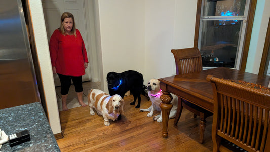 Woman in a red coat with three dogs in a kitchen.